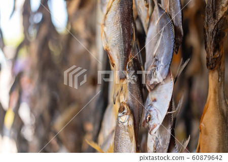 Dry fish womer mullet hanging on rope drying on 60879642
