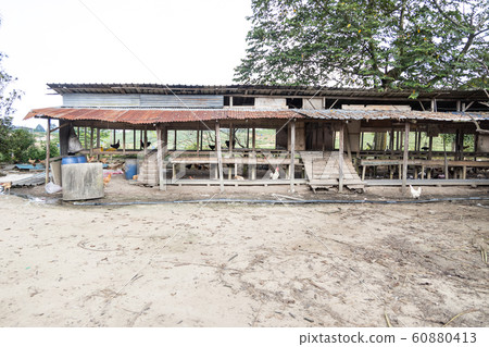 Shelter at free range chicken poutry farming in 60880413