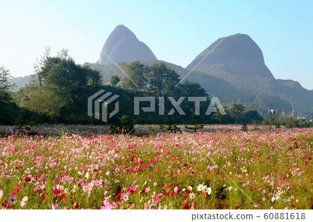 在Maisan的秋天 在Maisan的秋天 60881618