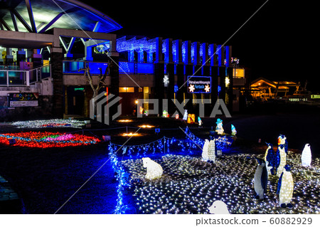 島原冬夜幻想曲II [長崎縣新原市] 60882929