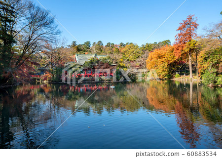 Inokashira Park, Musashino City, Tokyo 60883534