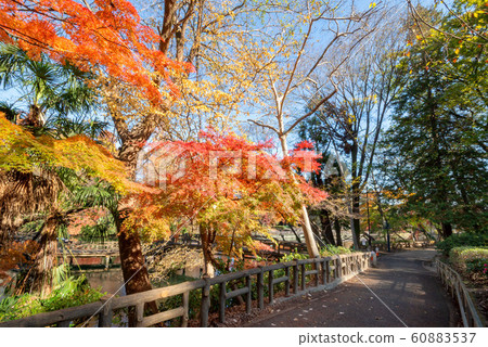 Inokashira Park Inokashira Park 60883537