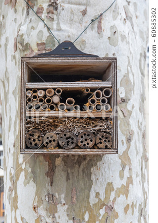 Beehive Hotel 60885302