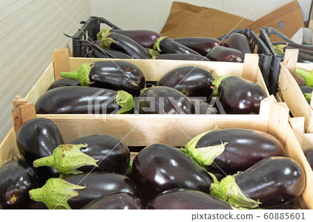 Aubergines Aubergines 60885601