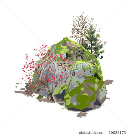Huge rock, covered with moss, surrounded by coniferous trees and berry bushes Huge rock, covered with moss, surrounded by coniferous trees and berry bushes 60888173