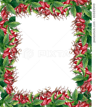 Floral Square Frame with pink wild rose, rose hip, dog rose, green leaves and red berries, hand drawn watercolor frame isolated on white. Design for invitation, wedding or greeting cards Floral Square Frame with pink wild rose, rose hip, dog rose, green leaves and red berries, hand drawn watercolor frame isolated on white. Design for invitation, wedding or greeting cards 60889949
