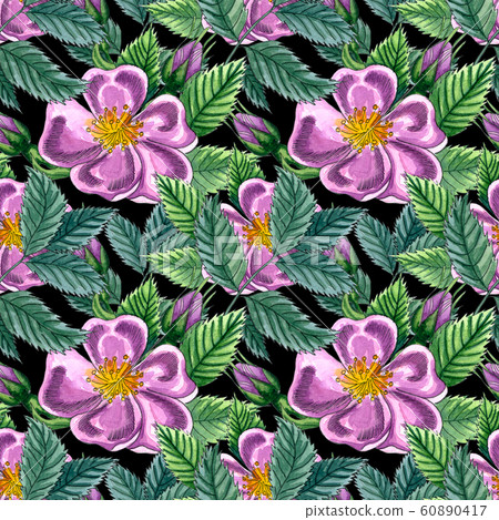 Floral seamless pattern with pink wild rose, rose hip, dog rose, green leaves, hand drawn watercolor pattern. Design for fabric, invitation, wedding or greeting cards Floral seamless pattern with pink wild rose, rose hip, dog rose, green leaves, hand drawn watercolor pattern. Design for fabric, invitation, wedding or greeting cards 60890417