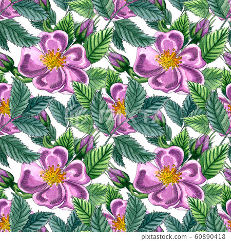 Floral seamless pattern with pink wild rose, rose hip, dog rose, green leaves, hand drawn watercolor pattern. Design for fabric, invitation, wedding or greeting cards Floral seamless pattern with pink wild rose, rose hip, dog rose, green leaves, hand drawn watercolor pattern. Design for fabric, invitation, wedding or greeting cards 60890418
