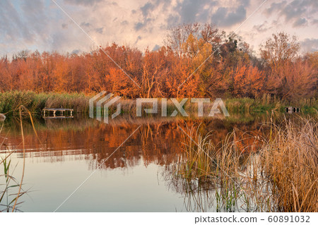 Autumn sunset river Ros landscape, Ukraine Autumn sunset river Ros landscape, Ukraine 60891032