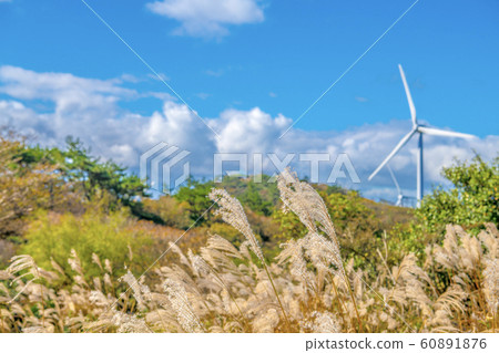 [Autumn] Windmill of Aoyama Kogen 60891876