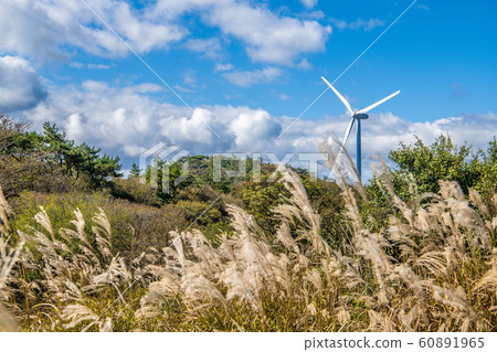 [秋天]青山高原風車 60891965