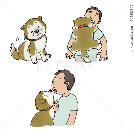 Shiba Inu 60892201
