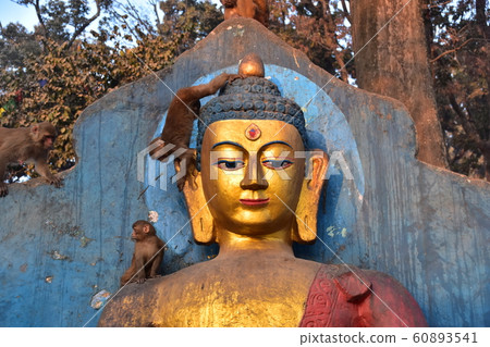 尼泊爾首都加德滿都，猴廟，世界遺產佛教寺廟，騎著佛像頭和肩膀的野猴 60893541