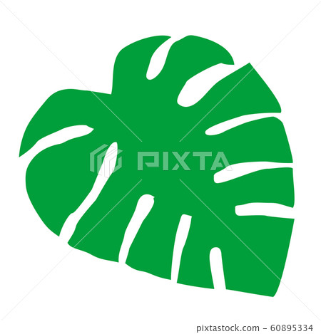Monstera Monstera 60895334