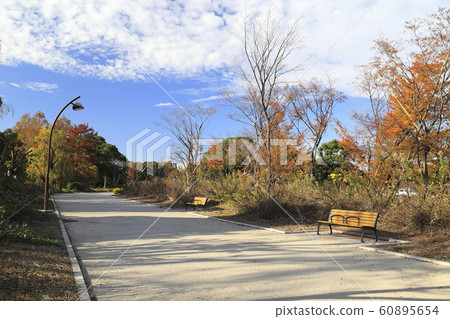 Toneliko Park Bird Sanctuary Adachi-ku, Tokyo 60895654