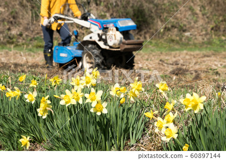 Tillage work Tillage work 60897144