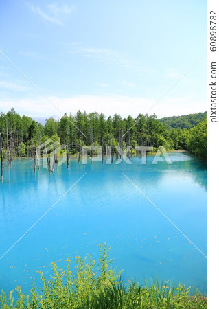 Blue pond (Biei) Blue pond (Biei) 60898782
