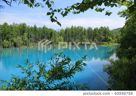 Blue pond (Biei) Blue pond (Biei) 60898788