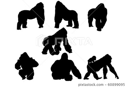 Animal silhouette zoo gorilla Animal silhouette zoo gorilla 60899095