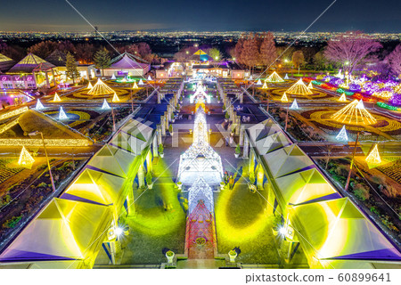 Gunma Flower Park Illumination Festa 60899641