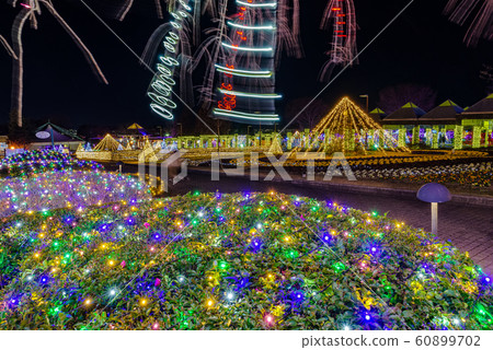 群馬縣花公園照明節 群馬縣花公園照明節 60899702