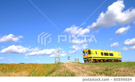 Autumn leaves of Isumi Railway 60899884