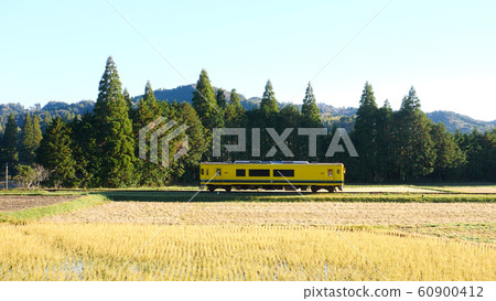 夷umi鐵道的紅葉 60900412