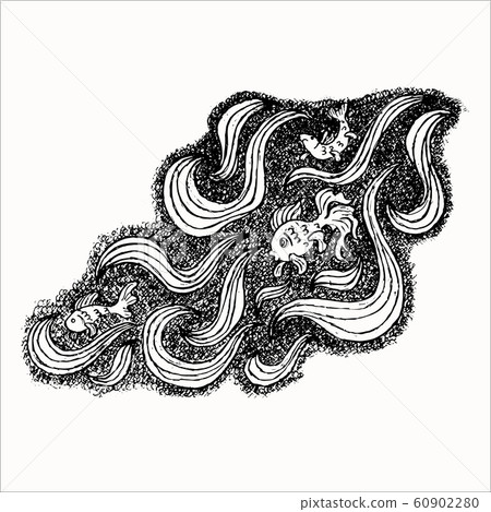 Sea fish hand drawn sketch isolated on the white Sea fish hand drawn sketch isolated on the white 60902280