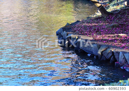 和平的水邊 和平的水邊 60902393