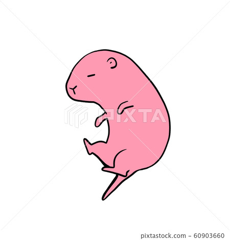 pet stores that sell frozen mice near me