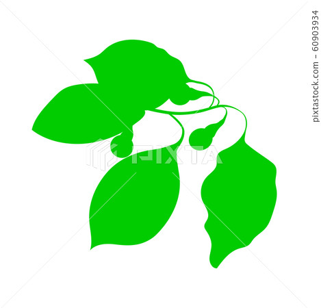 Camphor flat icon isolated on white background Camphor flat icon isolated on white background 60903934
