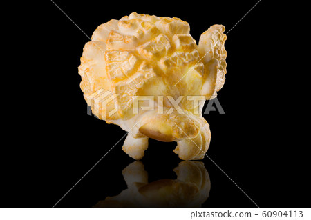 Single popped popcorn on a black backgroundwith clipping path 60904113