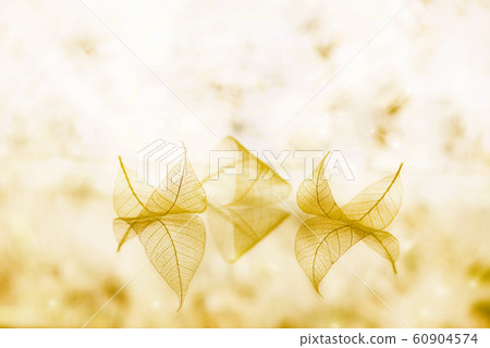 Fairytale wallpaper with transparent white leaves Fairytale wallpaper with transparent white leaves 60904574