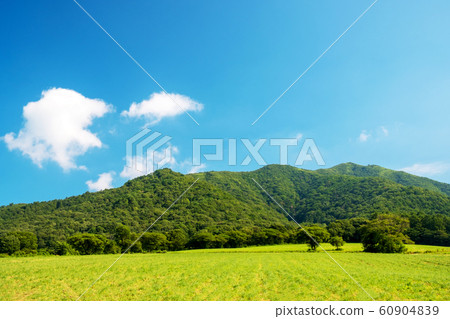 廣瀨高原夏季藍天 60904839