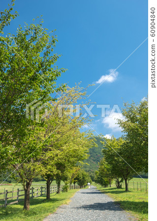 廣瀨高原夏季藍天 廣瀨高原夏季藍天 60904840