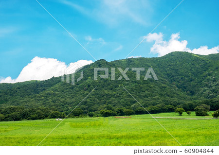 廣瀨高原夏季藍天 廣瀨高原夏季藍天 60904844