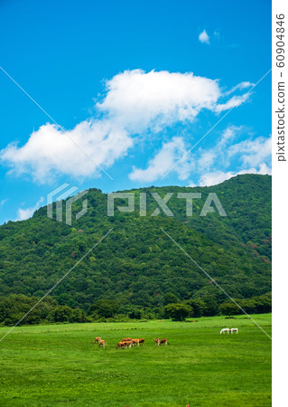 Hiruzen Kogen summer blue sky Hiruzen Kogen summer blue sky 60904846