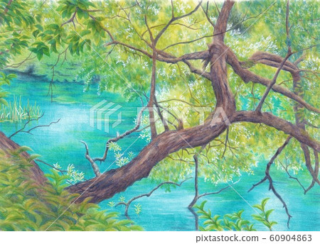 Goshikinuma彩色鉛筆 插圖素材 圖庫