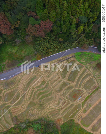 Kamogawa Oyama Senjyuda - Aerial photograph at drone (Kamogawa city, Chiba prefecture Hiratsuka) 60905147