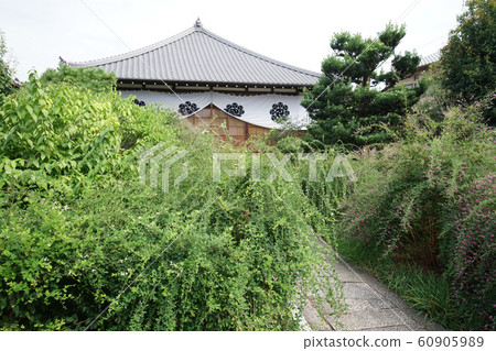 Hagi Garden at Jorinji Temple 60905989