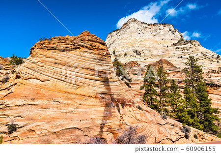 Rock formations at Zion National Park along Pine Creek Rock formations at Zion National Park along Pine Creek 60906155