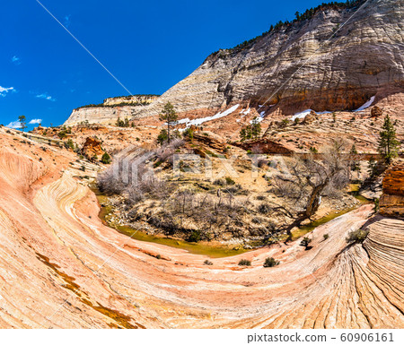 Rock formations at Zion National Park along Pine Creek 60906161