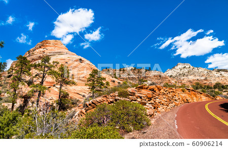 Landscape of Zion National Park along Pine Creek Landscape of Zion National Park along Pine Creek 60906214