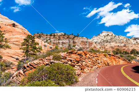 Zion-Mount Carmel Highway at Zion National Park Zion-Mount Carmel Highway at Zion National Park 60906215