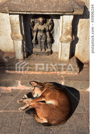 Kathmandu, Nepal, Swayambhunath, a World Heritage Buddhist Temple, a stray dog taking a nap in front of a Buddha statue 60906284
