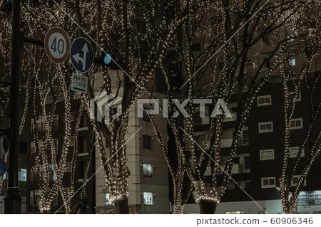 SENDAI Hikari Pageant 2019 Sendai City, Miyagi Prefecture 60906346