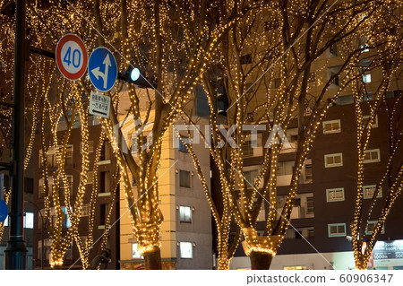 SENDAI Hikari Pageant 2019 Sendai City, Miyagi Prefecture 60906347