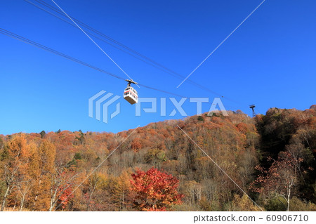 Gondola and colored leaves of Shinhotaka No. 2 Ropeway 60906710