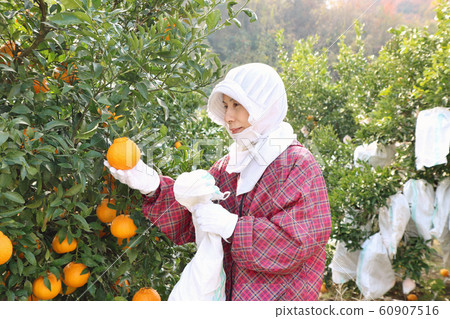 Decopon Sack Senior Woman 60907516