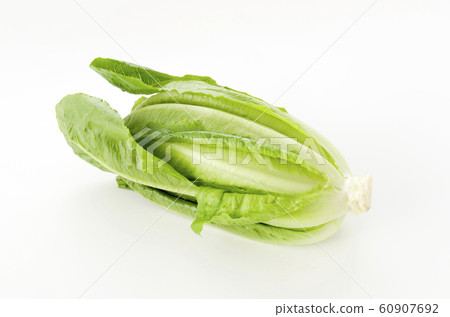 Romaine lettuce Romaine lettuce 60907692